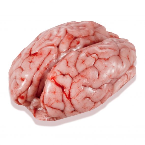 Frozen Pork Brains for Sale