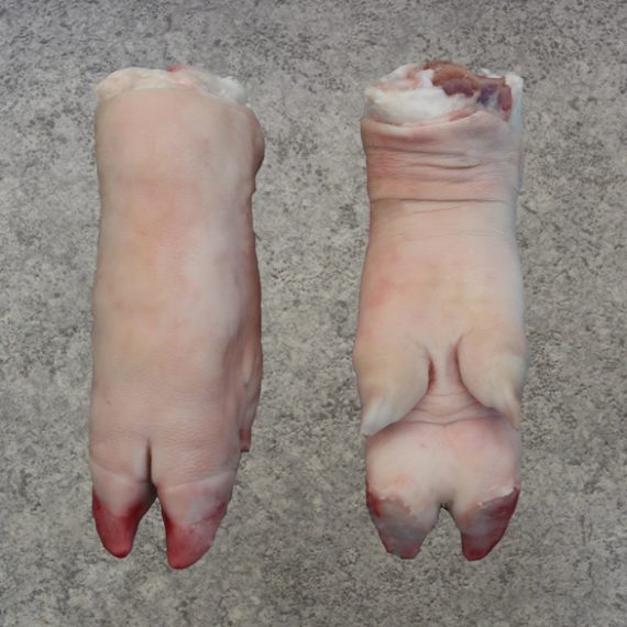 wholesale frozen pork front leg